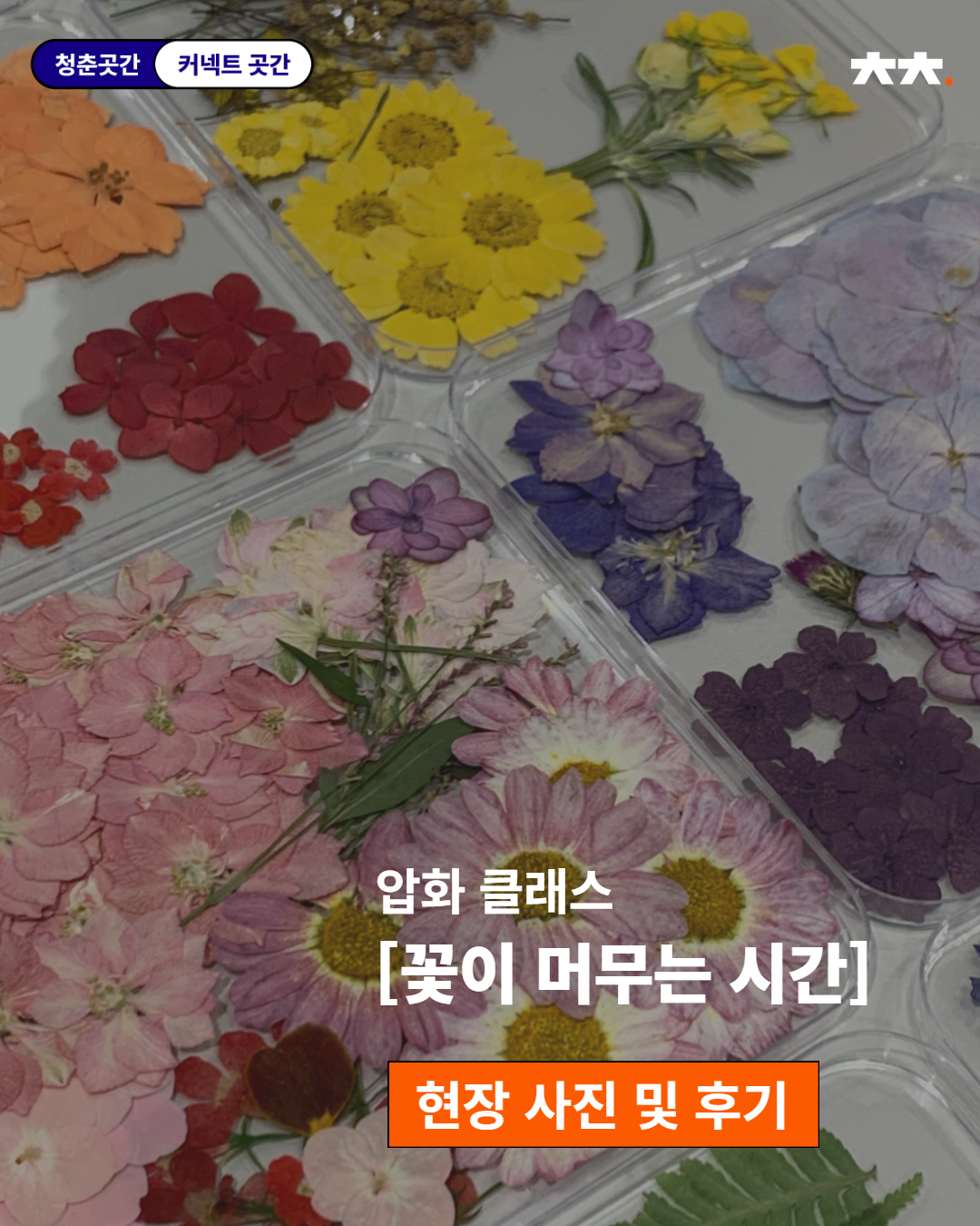 커넥트곳간 <압화 클래스 : 꽃이 머무는 시간>